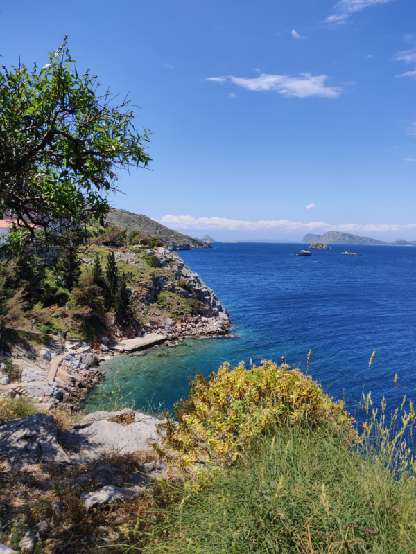 hydra